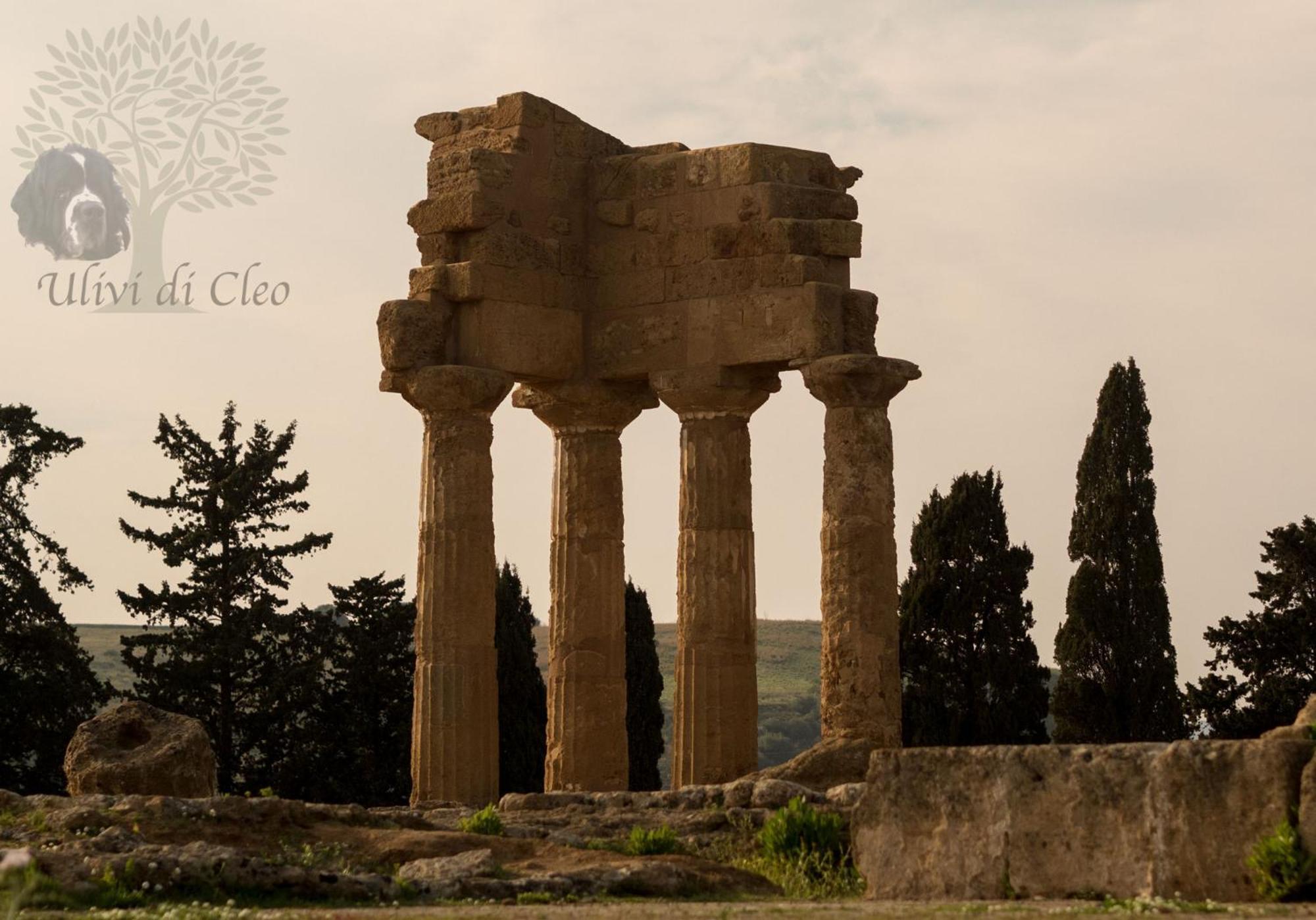Maison d'hôtes Ulivi Di Cleo à Realmonte Extérieur photo